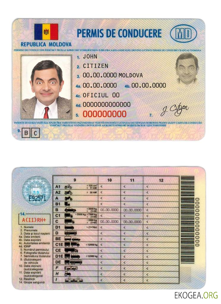 Moldova driver license